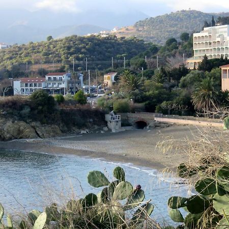 Apartamento Les Pieds Dans L'Eau Banyuls-sur-Mer Exterior foto