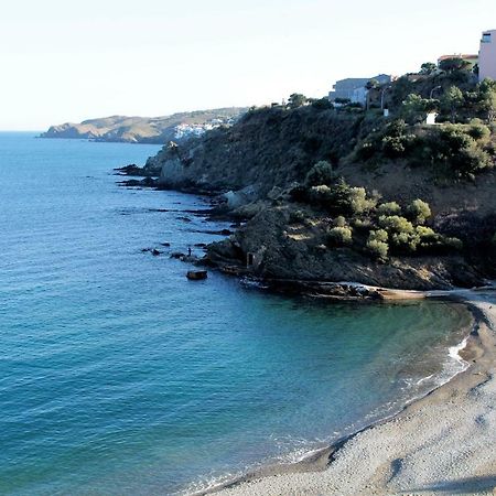 Apartamento Les Pieds Dans L'Eau Banyuls-sur-Mer Exterior foto