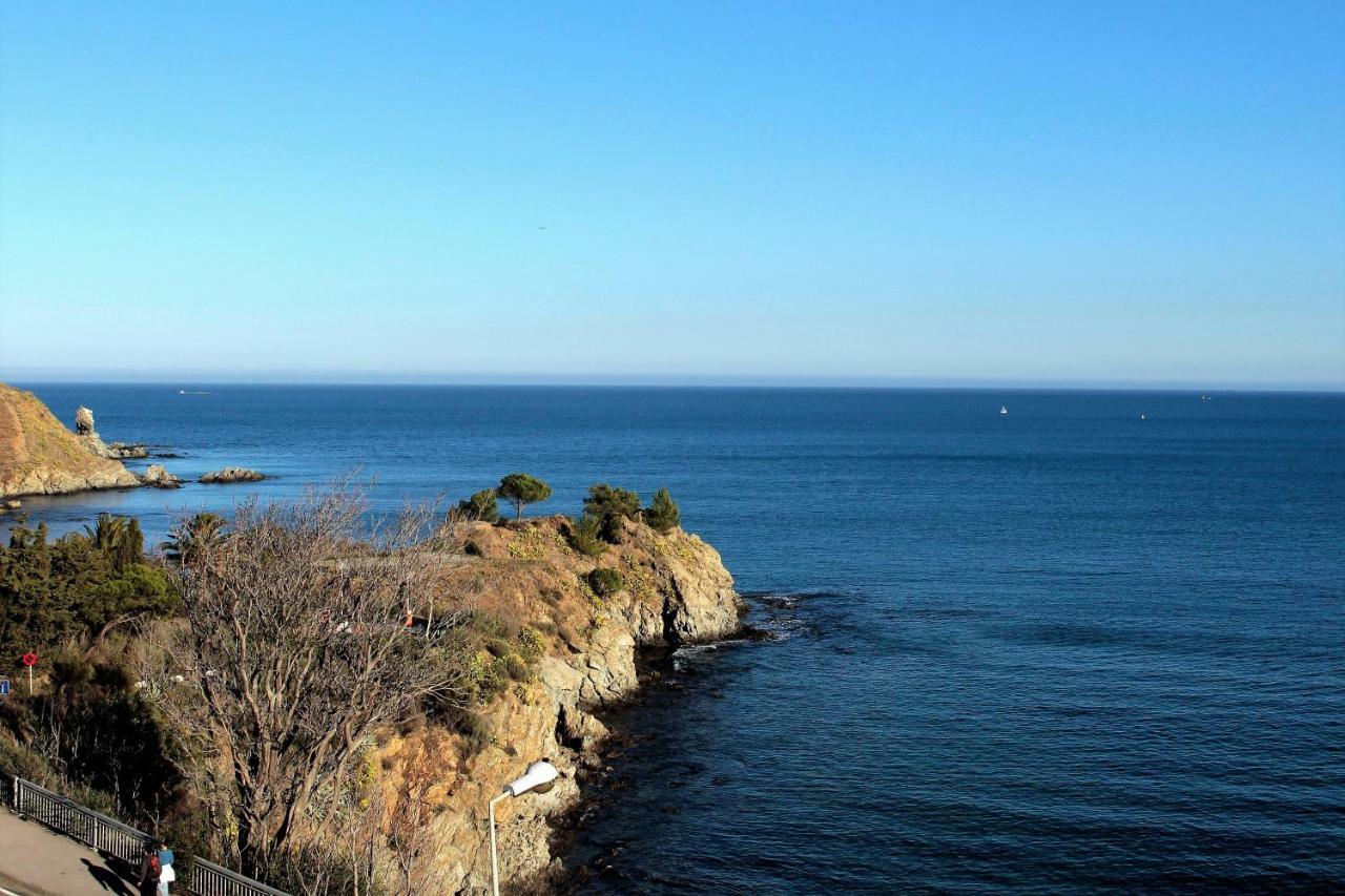 Apartamento Les Pieds Dans L'Eau Banyuls-sur-Mer Exterior foto